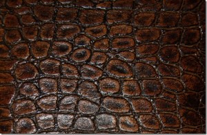 Leather Texture-16