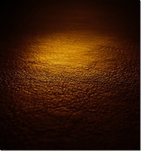 Leather Texture-29