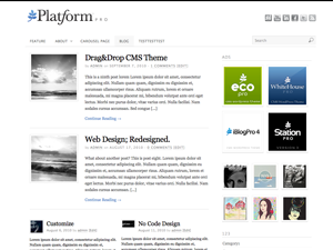 Platform WordPress Theme